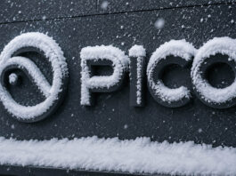 Pico перенесла презентацию Space Pro на следующий квартал