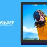 SeeYA Technology уже могла поставить Meta* миллион дисплеев для Phoenix
